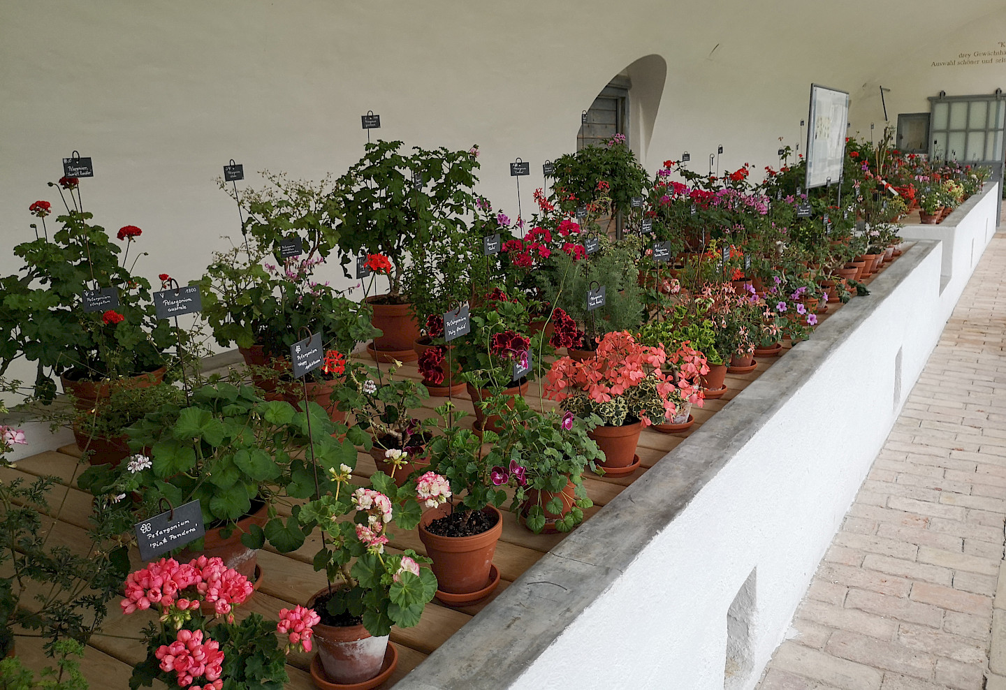 Geranium House Munich Heritage